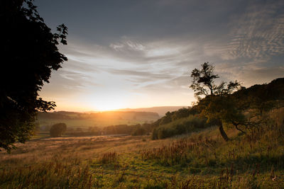 Sunset over grassy field