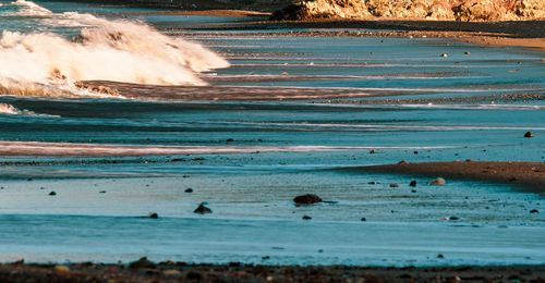 Scenic view of beach