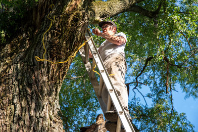 Low angle view of man standing on ladder cutting tree branch