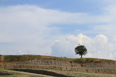 Scenery of lonely tree on the top of the hill with cloudy blue sky