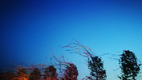 Low angle view of plants against clear blue sky