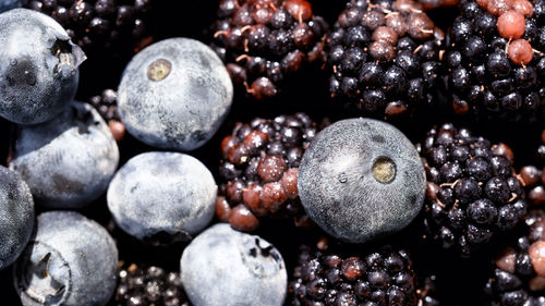 Full frame shot of blueberries