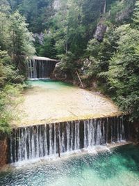 Scenic view of waterfall in forest