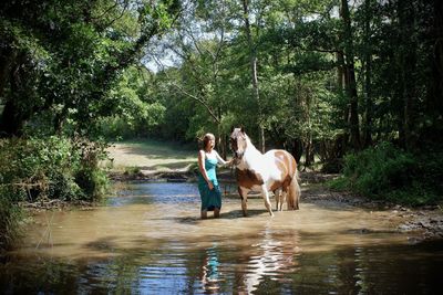 Horse standing in lake