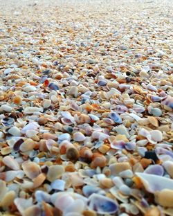 Surface level of pebbles on beach