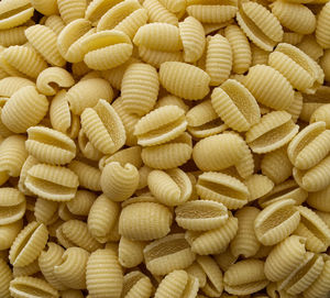 Raw italian gnocchetti sardi pasta background. close up.