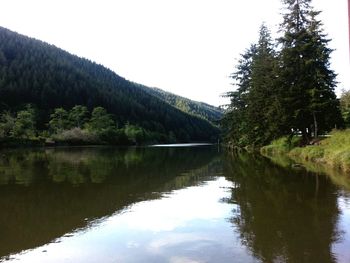Reflection of trees in lake