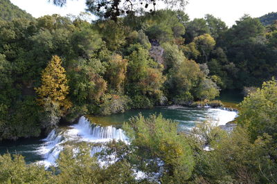 Scenic view of waterfall by trees in forest