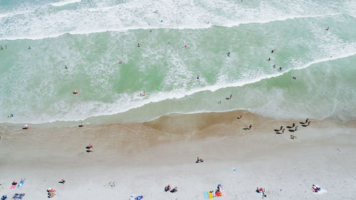 Group of people on beach