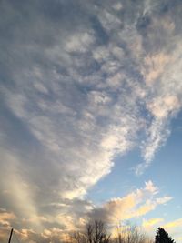 Low angle view of trees against cloudy sky