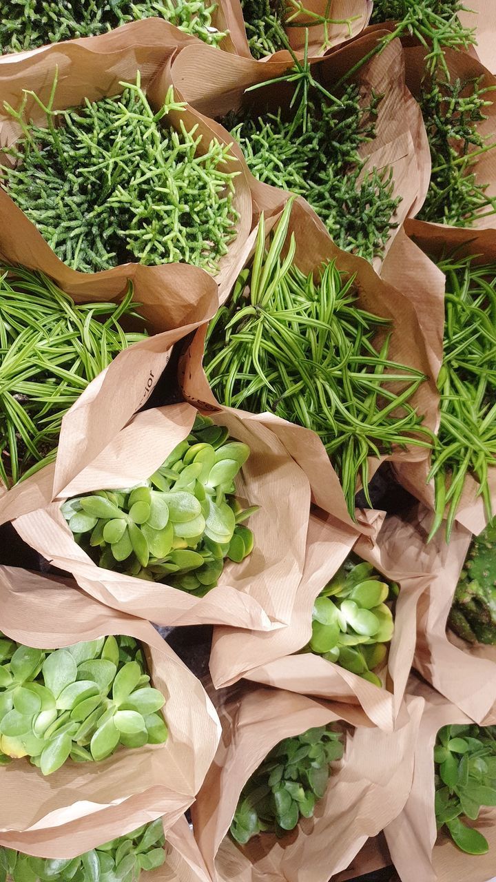 HIGH ANGLE VIEW OF VEGETABLES IN MARKET STALL