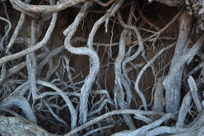 Full frame shot of fishing net