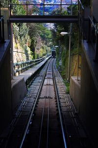 View of railroad tracks along plants