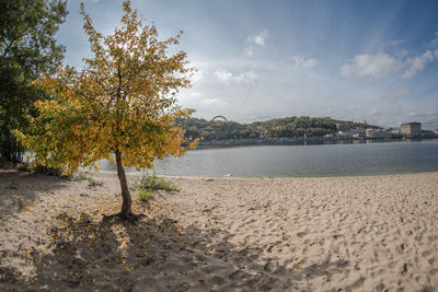 Scenic view of beach against sky