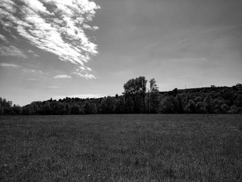 Scenic view of agricultural field against sky