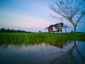 Scenic view of lake by field against sky