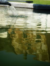 Water surface level of lake