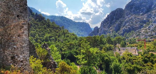 Panoramic view of trees and mountains against sky