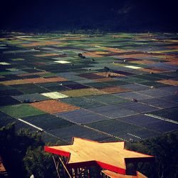 Scenic view of agricultural field