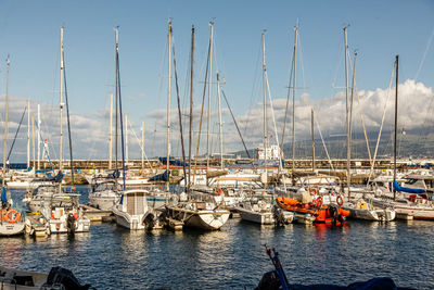 Sailboats moored in harbor