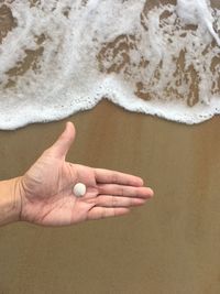 High angle view of human hand on the beach