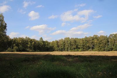 Scenic view of field against sky