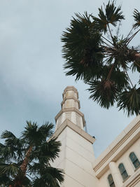 Low angle view of palm tree by building against sky