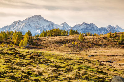 Scenic view of snowcapped mountains against sky