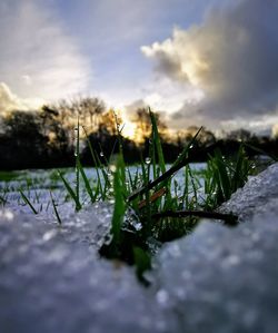 Close-up of snow on field against sky