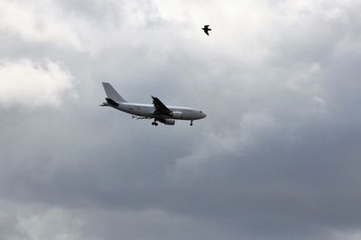 Low angle view of bird flying against cloudy sky