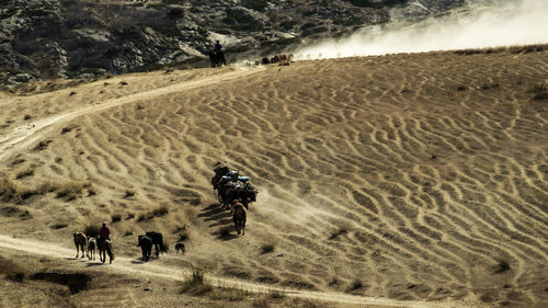 High angle view of people on desert