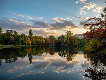 Reflection of trees in lake against sky during sunset