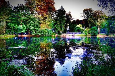 Scenic view of lake in forest