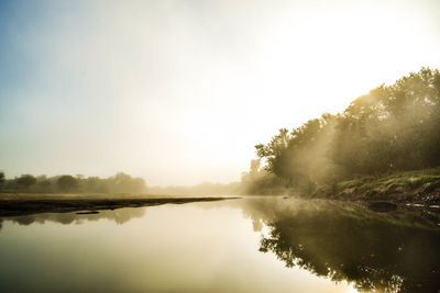 Reflection of trees in calm lake