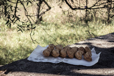 Close-up of empanadas on rock in park