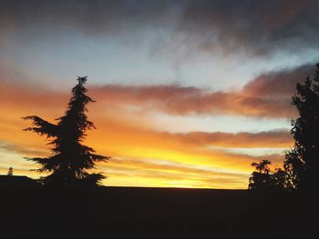 Silhouette tree against dramatic sky during sunset