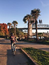 Man riding bicycle on road