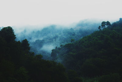 Scenic view of mountains in foggy weather