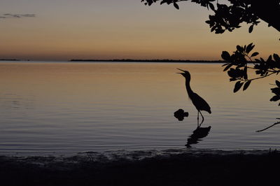 Scenic view of sea at sunset