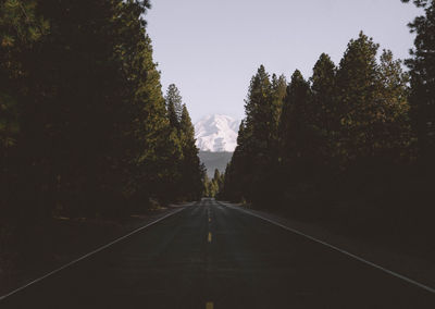 Road amidst trees against clear sky