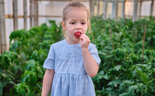 Portrait of cute girl standing against plants