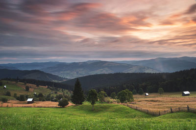 Scenic view of field against sky during sunset