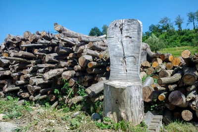 Stack of logs on field in forest against clear sky