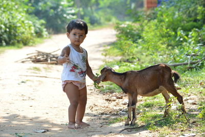 Portrait of cute girl feeding kid goat on dirt road