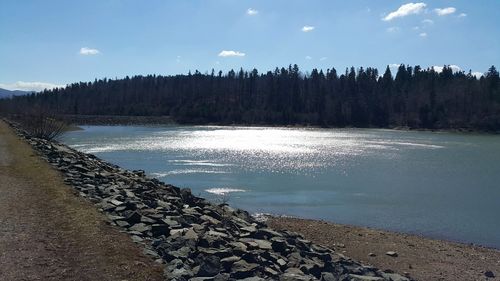 Scenic view of river in forest against sky