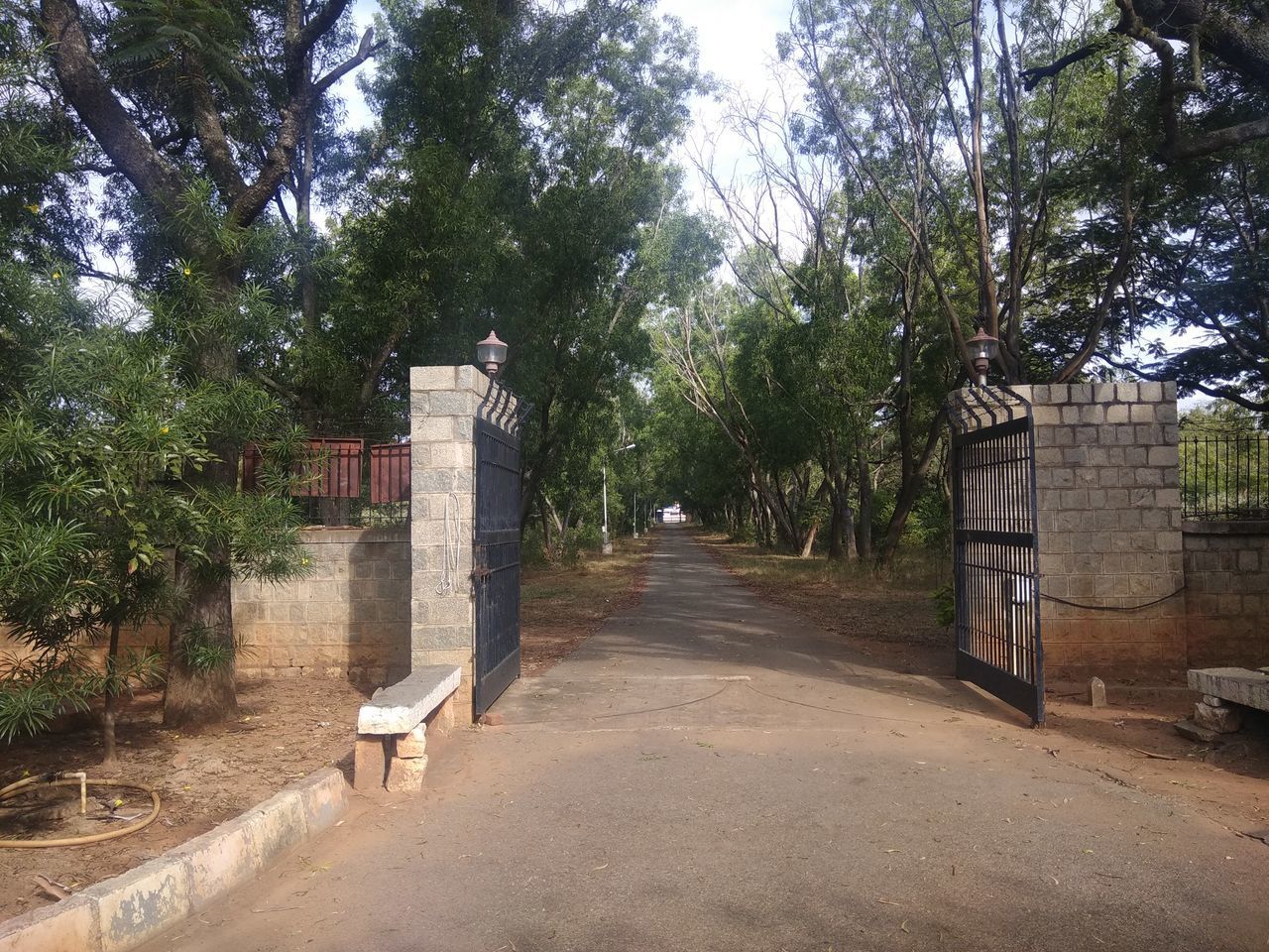 REAR VIEW OF MAN WALKING ON FOOTPATH AMIDST TREES