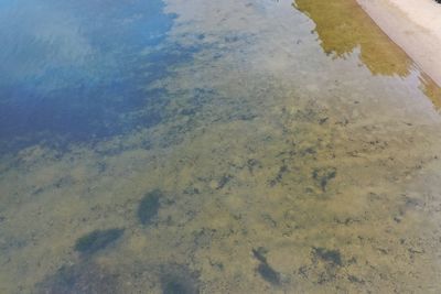 High angle view of puddle