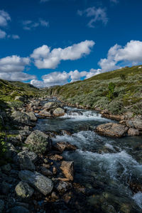 Stream mjolga near toviken, norway