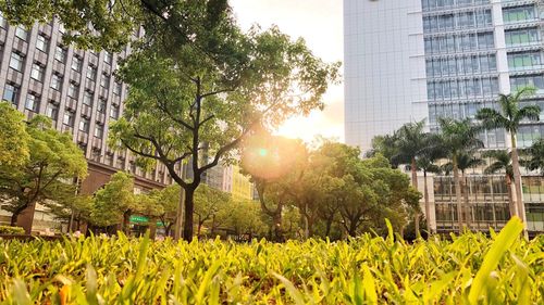 Scenic view of grassy field by buildings against sky