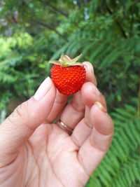 Cropped image of hand holding strawberry outdoors